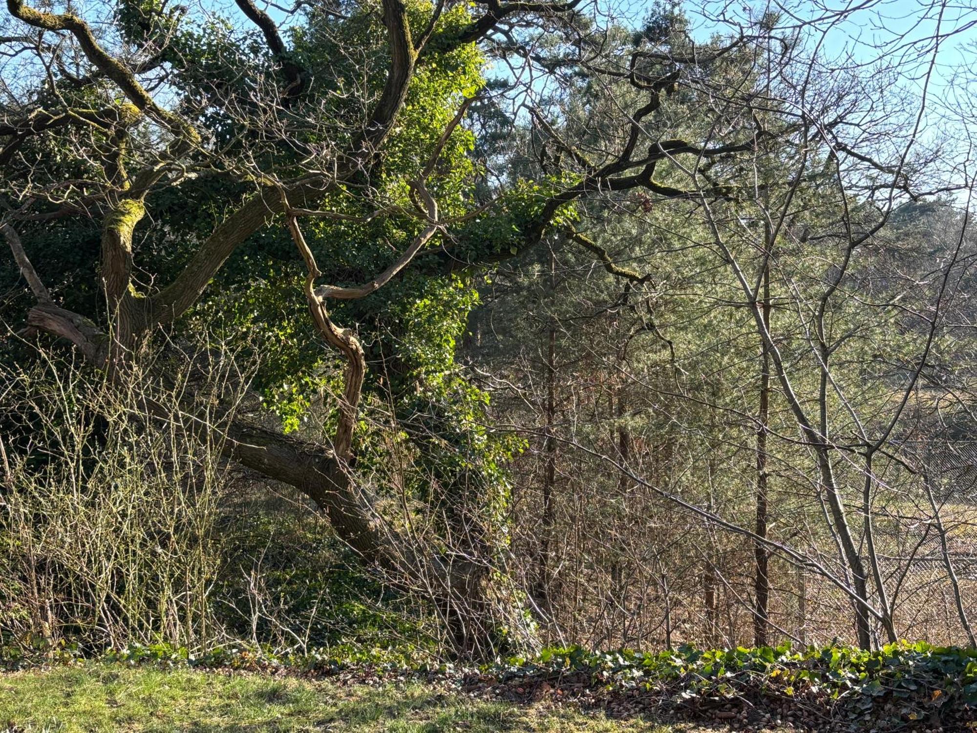 Vakantiehuis De Witte Bergen IJhorst Экстерьер фото